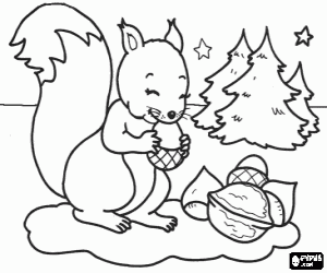 A squirrel and nuts at Christmas coloring page