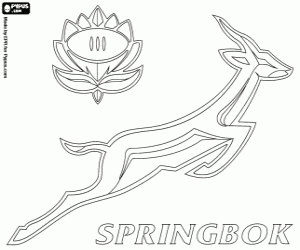 Sringboks logo coloring page