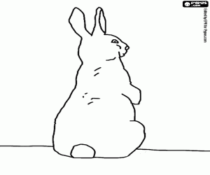 A standing rabbit, seen from behind coloring page