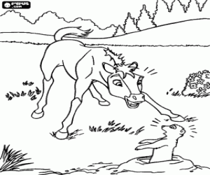 A surprised young horse coloring page