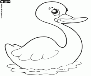 The swan coloring page
