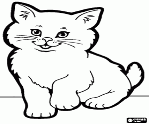 Sweet and nice kitten coloring page