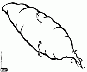 A sweet potato coloring page