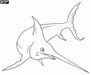 Sword fish, a predatory fish coloring page
