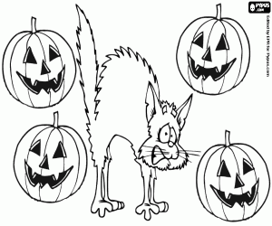 Terrified cat on Halloween coloring page