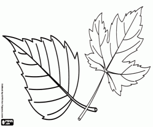 Thanksgiving in autumn coloring page