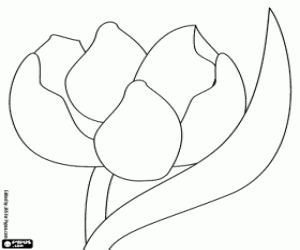 The beautiful flower of Thumbelina coloring page