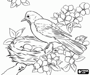 The bird is taking care of the eggs in the nest coloring page