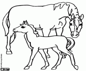 The mare with the foal coloring page