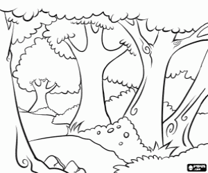 The trees of a forest coloring page