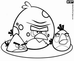 Three angry birds, Angry Birds coloring page
