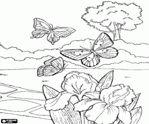 Three butterflies flying around the garden coloring page
