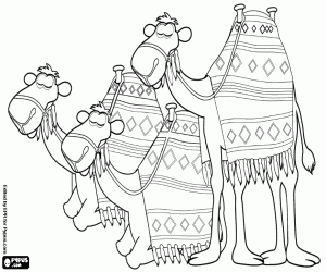 The three camels from Orient coloring page