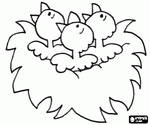 Three chicks in the nest coloring page