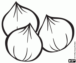 Three peeled hazelnuts coloring page