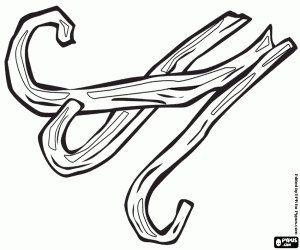 Three pods of vanilla coloring page