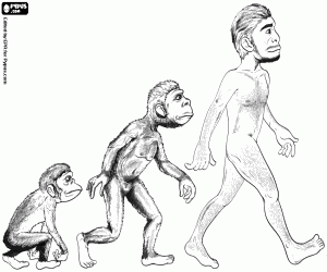 Three stages, human evolution coloring page
