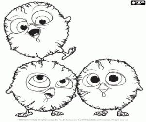 Three turkey chicks coloring page