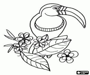 Toucan in a flowering branch coloring page