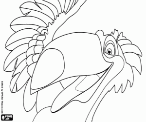 The toucan Rafael coloring page