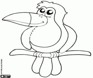 Toucan coloring page