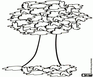 The tree begins to lose leaves coloring page