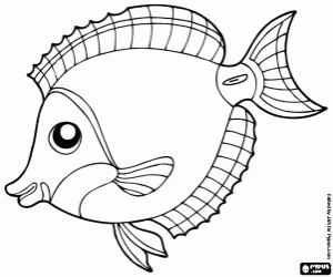 Tropical fish from coral reefs coloring page