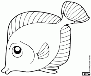 Tropical fish coloring page