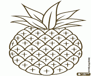 A tropical pineapple, simple drawing coloring page