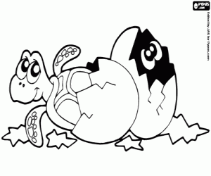 Turtle eggs coloring page