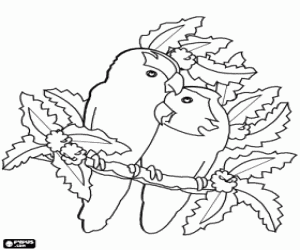 Two birds in love on a branch coloring page