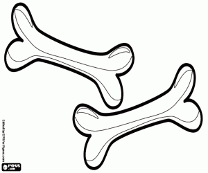 Two bones for the little dog coloring page