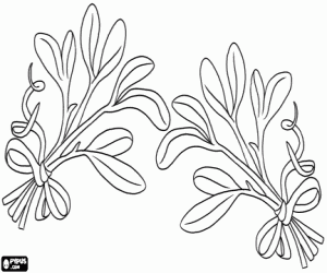 Two branches of mistletoe coloring page