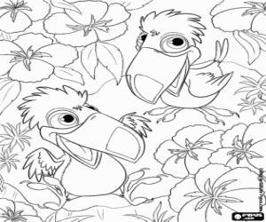Two little toucans in the jungle coloring page