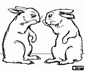 Two rabbits standing face to face coloring page