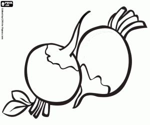 Two radishes, edible roots coloring page