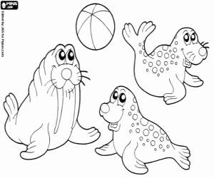 Two seals and a walrus in the circus coloring page