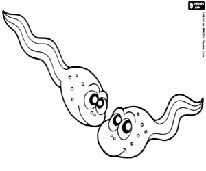 Two tadpoles of the pond coloring page