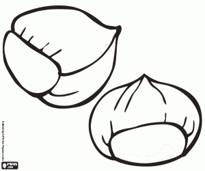 Two unpeeled raw chestnuts coloring page