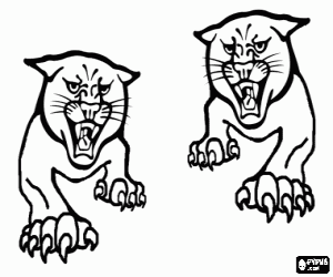 Two wildcats jumping coloring page