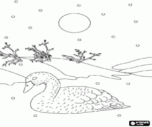 The ugly duckling in the swamp coloring page