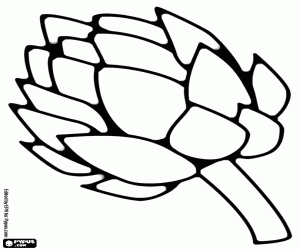 A variant of artichoke coloring page