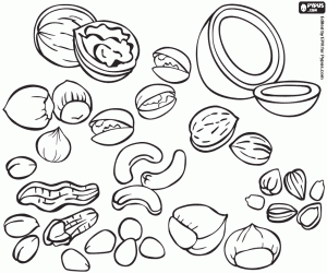 Varied nuts and seeds coloring page