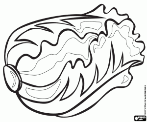 A variety of lettuce coloring page