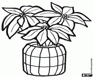 A vase with a poinsettia coloring page