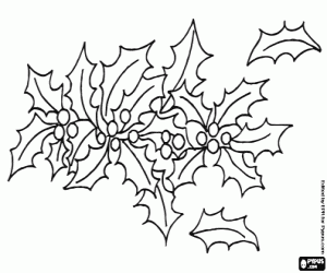 Vegetal Christmas ornament with holly coloring page