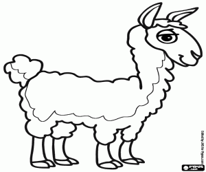 A vicuña from the Andes coloring page