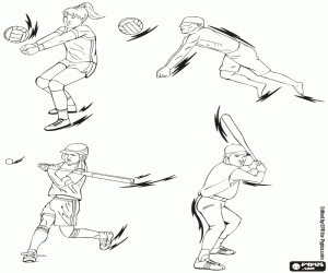 Volleyball, baseball and softball coloring page