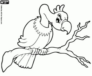 Vulture coloring page