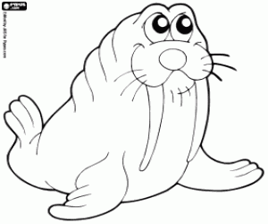 Walrus coloring page